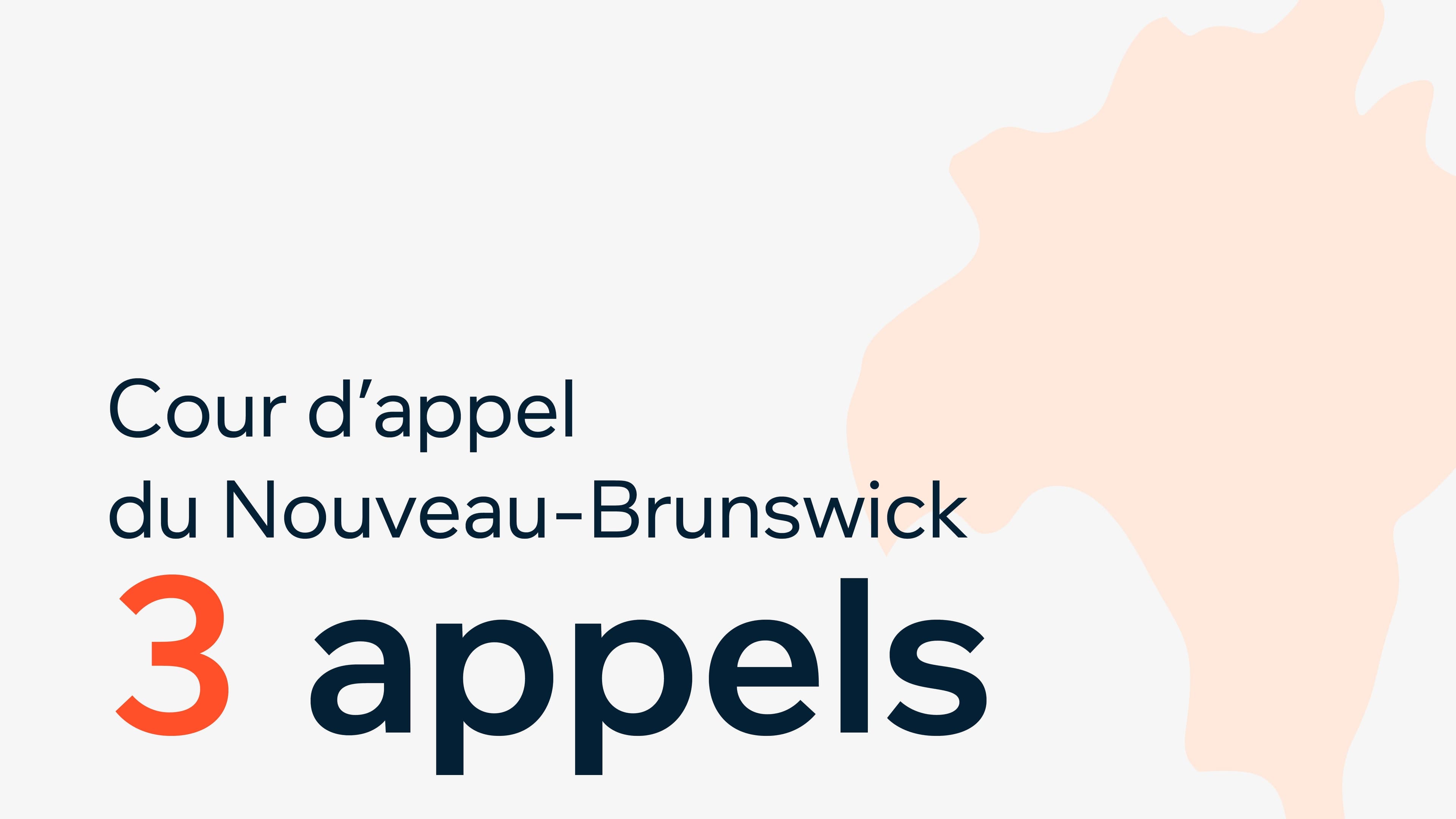 Court of Appeals NB