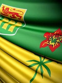 Cour d’appel de la Saskatchewan