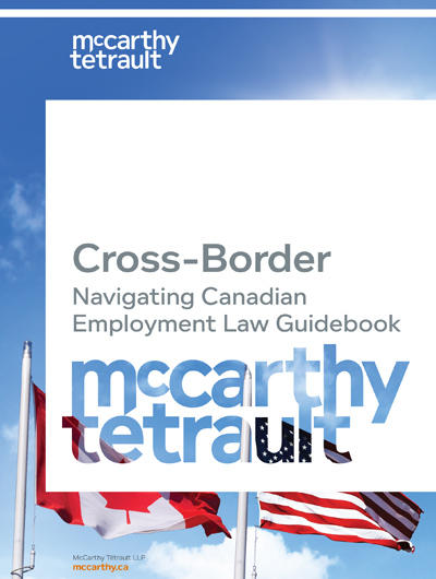 Book cover Cross-Border Labour & Employment Guide 2017